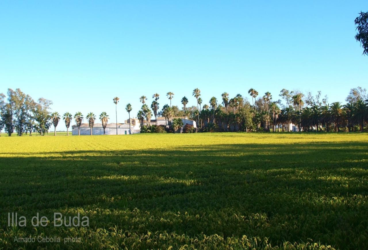 Villa Paquita Loft 代尔特布雷 外观 照片